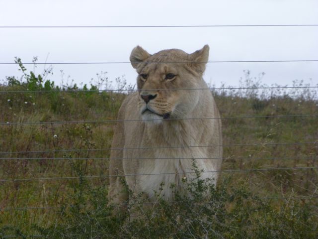 P1040304-2012-10-24-00-54.jpg