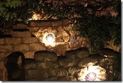 IMG_0201