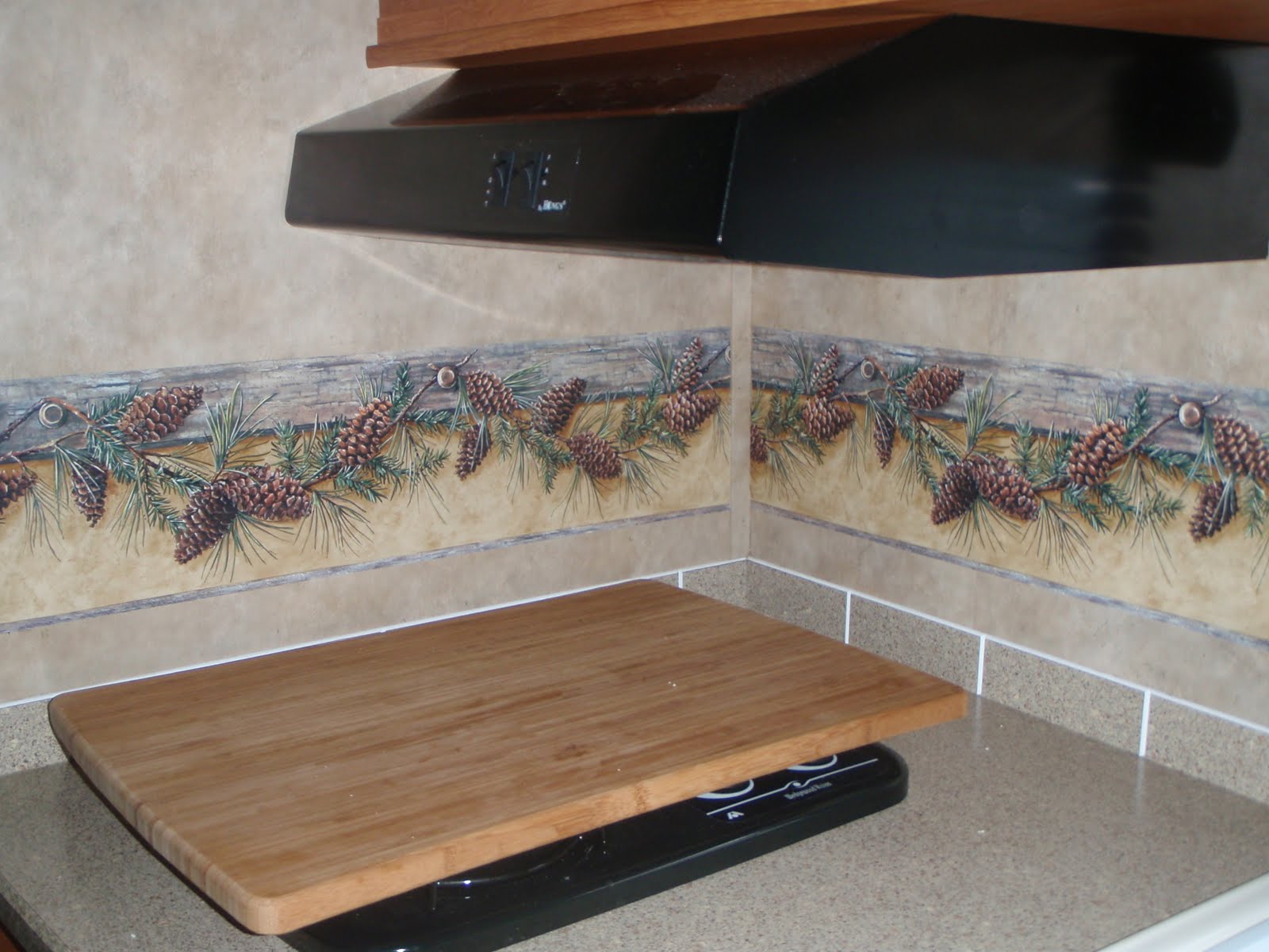 Adventures with the Visa: New wallpaper border and stove cover