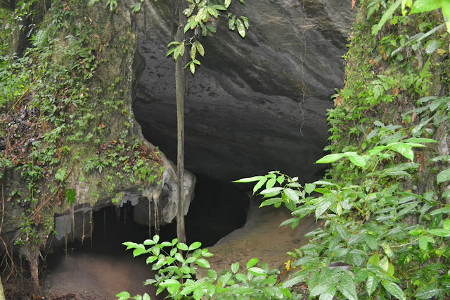 Travel My Way: Jelajah Miri Part 2 : Gua Niah - Taman 