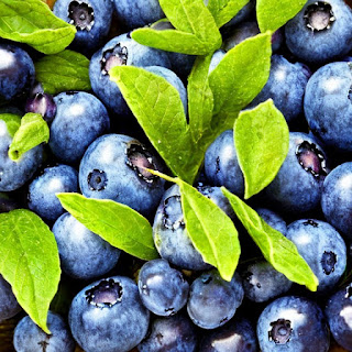 Blueberries and Brain Health