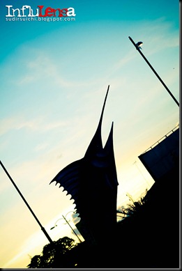 IMG_4828 copy
