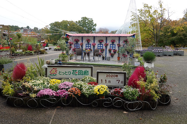 鳥取県西伯郡南部町鶴田　とっとり花回廊　エントランス展示