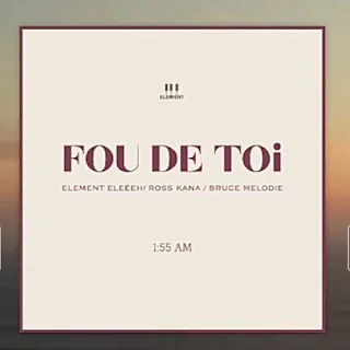 Element EleéeH - FOU DE TOi Feat Ross Kana& Bruce Melodie (2023)