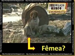 Slide8_thumb1