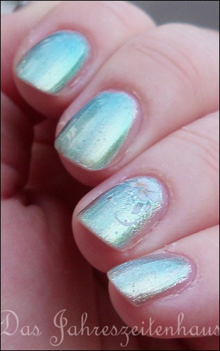 Duochrome Flowers 4