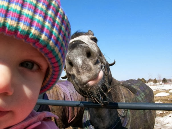 Funny animals taking selfies with humans (35 pics), animal selfies, funny animal pics, animal selfy