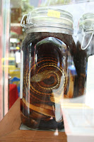 snake wine