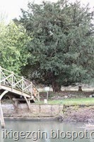 IMG_1932