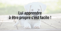  Lui apprendre à être propre c’est facile !