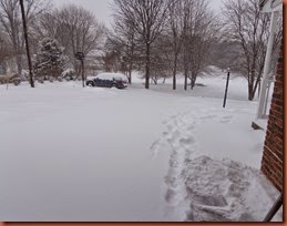 DSC00467