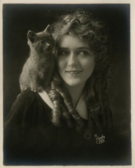 Pawsome Pet Picture Mary Pickford