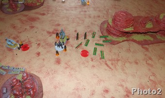 DSCF7795