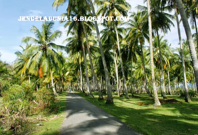 [http://FindWisata.blogspot.com] Pantai Kahona Barus, Pantai Yang Indah Dan Sangat Menarik Bagi Wisatawan