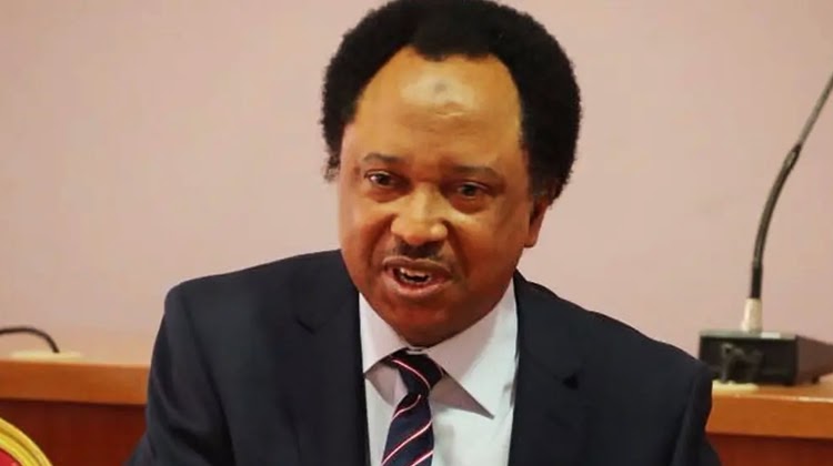 Sani warns women to save husbands from football