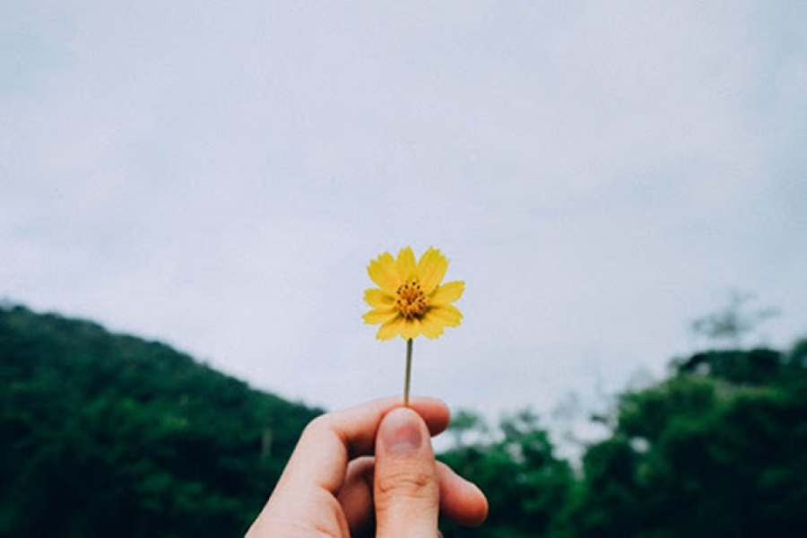 Con người nếu sống quá nhiều dục vọng sẽ tự rước 4 nguy hại về bản thân