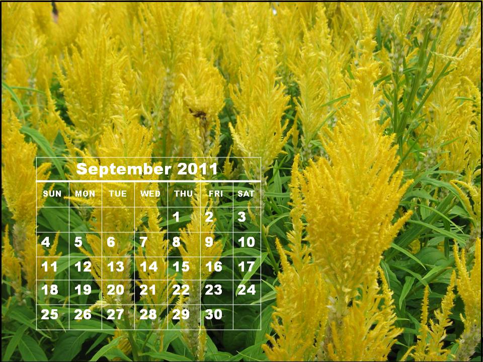 2011 calendar wallpaper free download. 2011 calendar wallpaper girl.