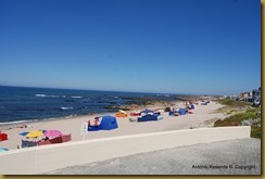 22-DSC_0989