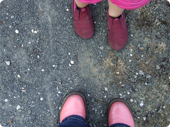 bloggershot