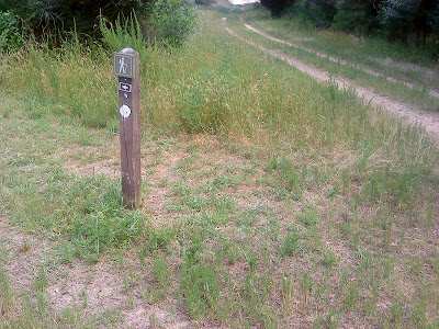 Falls Lake Trail Section 1: Follow the trail marker off the jeep trail