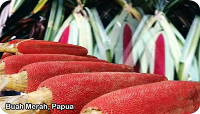 Buah Merah Papua