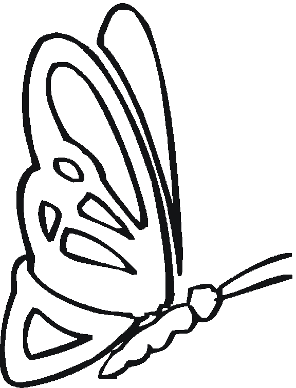 Free Coloring Pages Of Butterflies. Cute Butterfly Coloring Pages