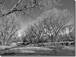 hike near Tubac 027 b&w