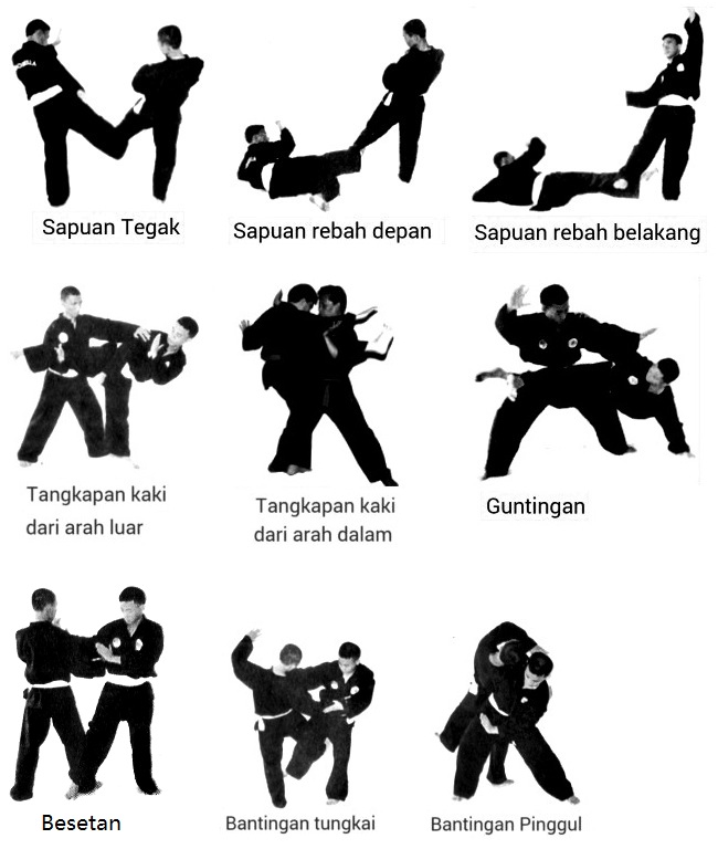  Contoh  Gambar Senam  Dasar Psht 1 30 Info Terkait Gambar