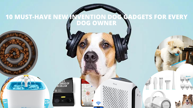 New Invention Dog Gadgets for Every Dog Owner