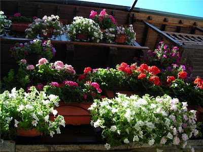 garden balcony