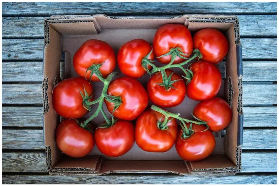 How to Store Tomatoes Outside the Fridge