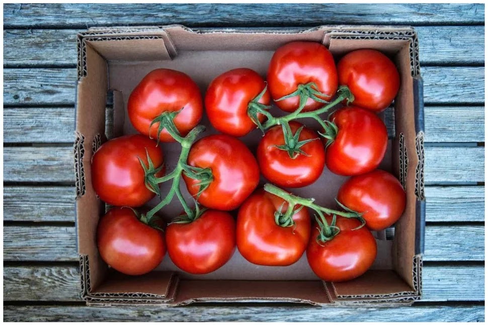How to Store Tomatoes for Housewives