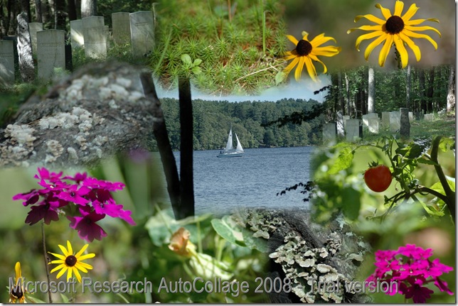 2006 08 13_AutoCollage_12_Images