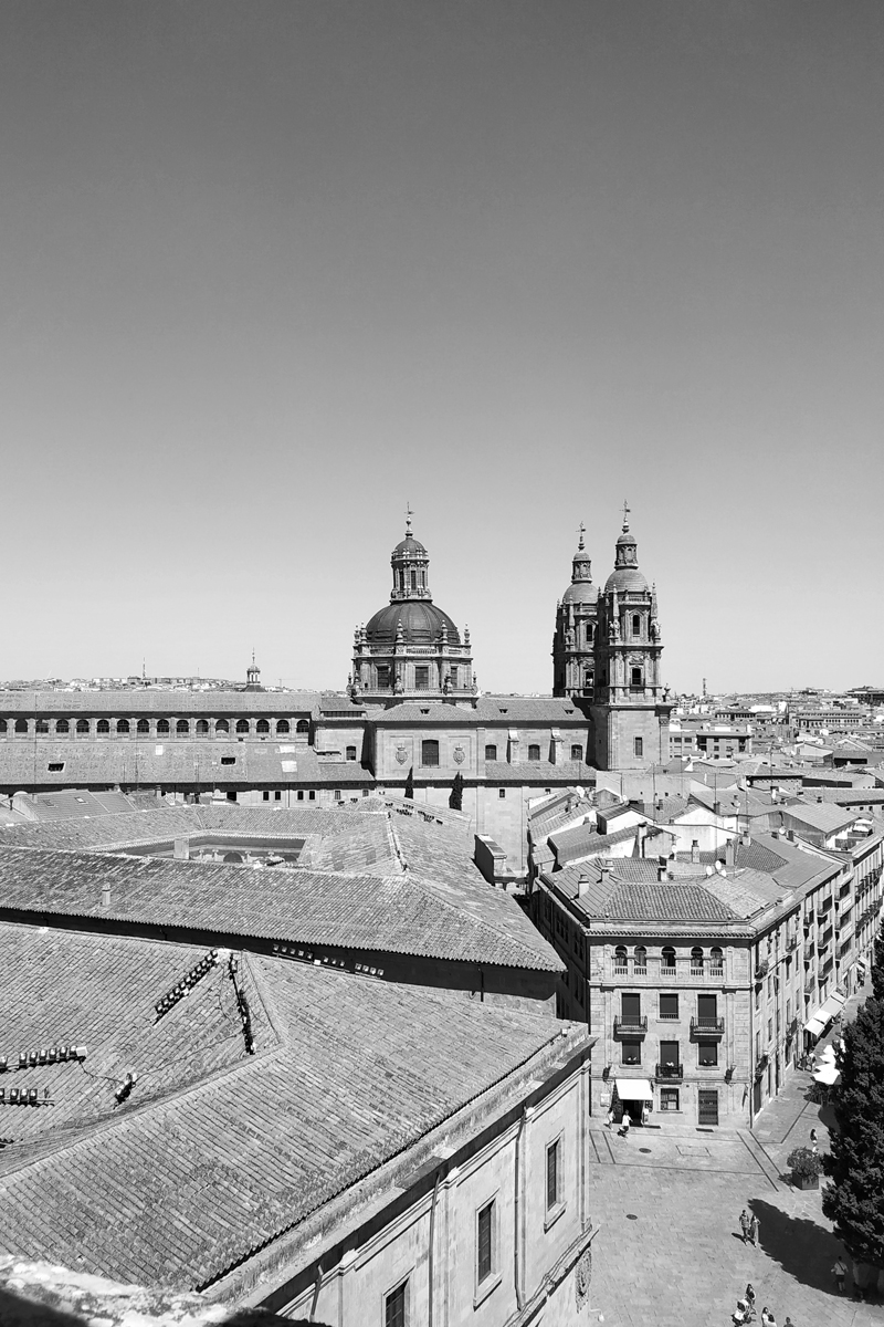 LIFESTYLE: VISIT THE ROOF OF THE CATHEDRAL OF SALAMANCA // VISITAMOS LAS TORRES DE LA CATEDRAL DE SALAMANCA