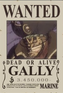 bounty gally one piece