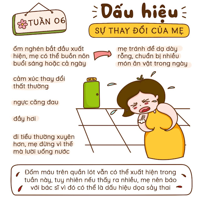 Kiến thức mang thai tuần 6