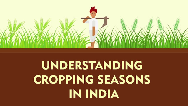 Cropping Patterns and Major Crops of India