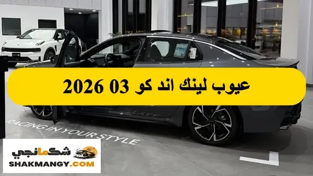 عيوب لينك اند كو 03 2026