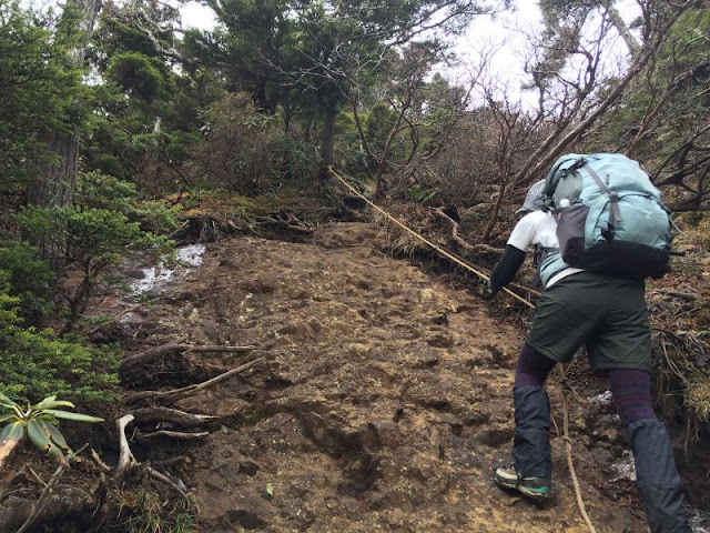 鋸山の急坂