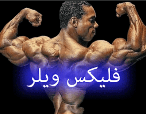 فليكس ويلر flex wheeler