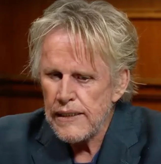Hollywood Actor Gary Busey Charged With Sex Offenses In New Jersey