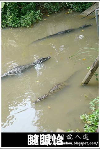 新竹市立動物園10