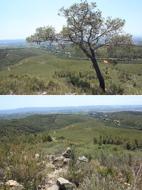 SANT JAUME DELS DOMENYS-PUIG DE LA TIULA, vistes des del Puig de la Tiula en direcció a la plana del Penedès