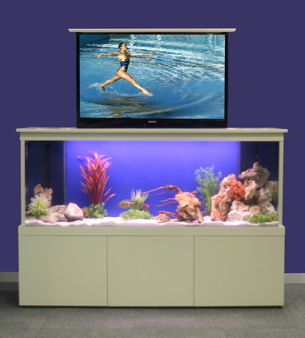 If It's Hip, It's Here: No Room For An Aquarium? Think Again. 20 ...