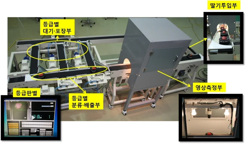 농촌진흥청, 딸기 자동선별기·팰릿 MA 포장 기술 평가회