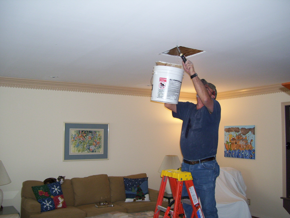 bathroom shower replacement Ceiling Repair--unexpected holiday expense