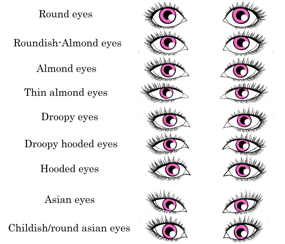 Paul walker look past the eyes: Bring Out The Best In Your Eyes Part 2 Eye Shape The Vanity