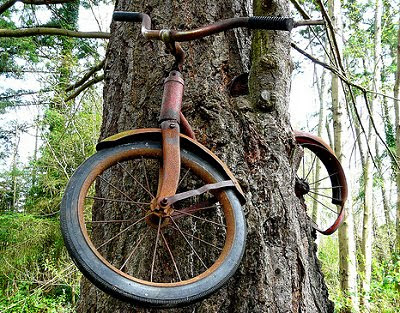 absorbing tree