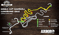 Arbor Downhill Longboard3