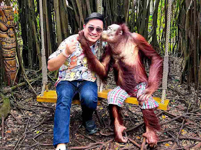 Explore Safari World Bangkok With KKday For Hassle-Free Trip